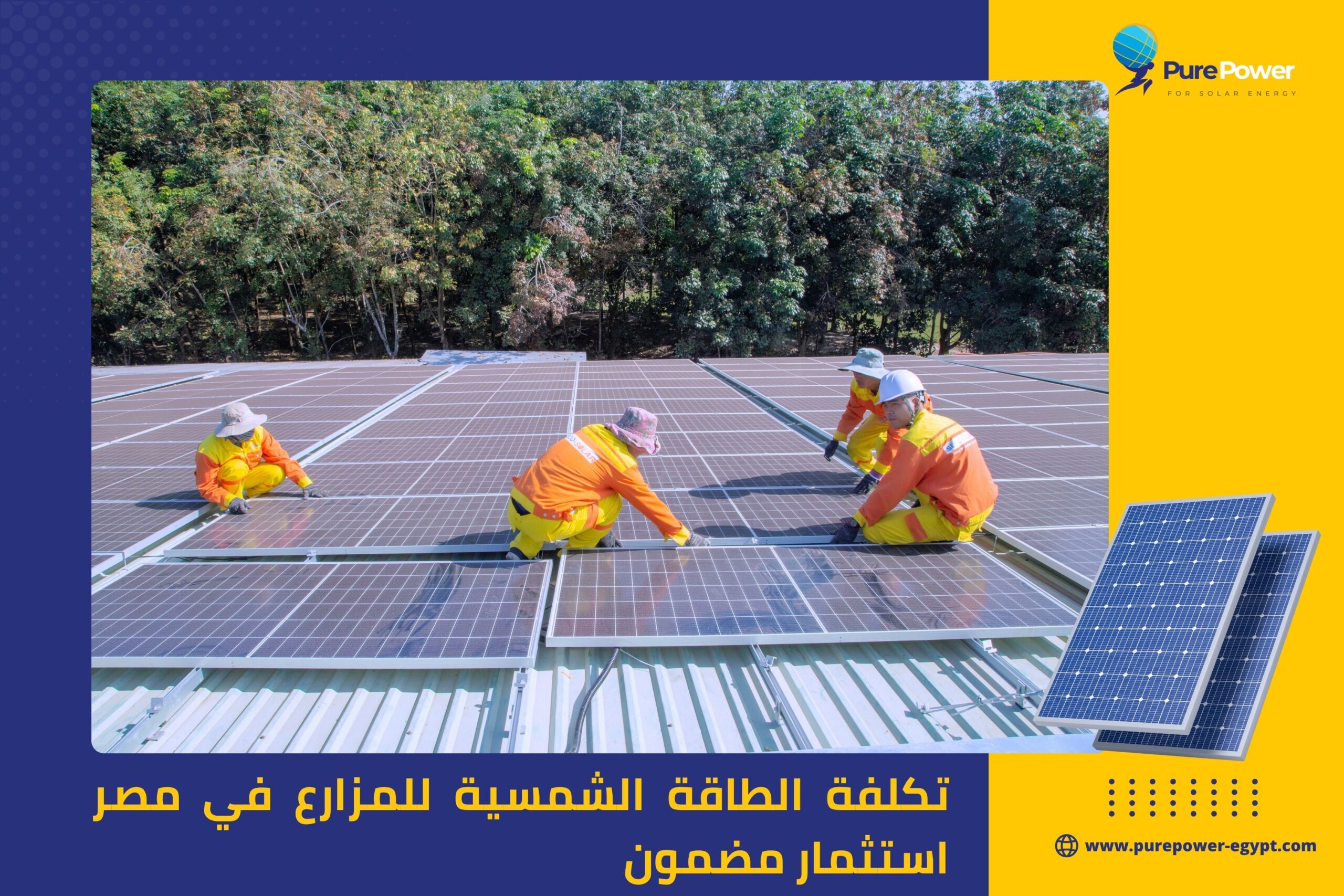 تكلفة الطاقة الشمسية للمزارع في مصر استثمار مضمون