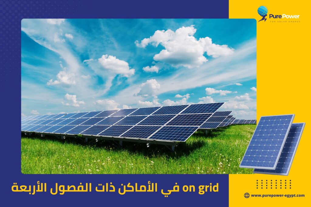 on grid في الأماكن ذات الفصول الأربعة