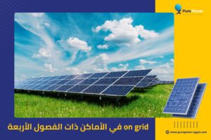 on grid في الأماكن ذات الفصول الأربعة